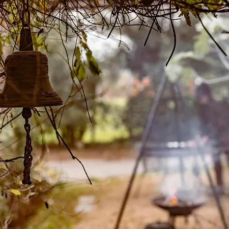 Casa de Férias Vakantiewoning Op Natuurterrein T Heuvelhof Met Optioneel Hottub En Sauna